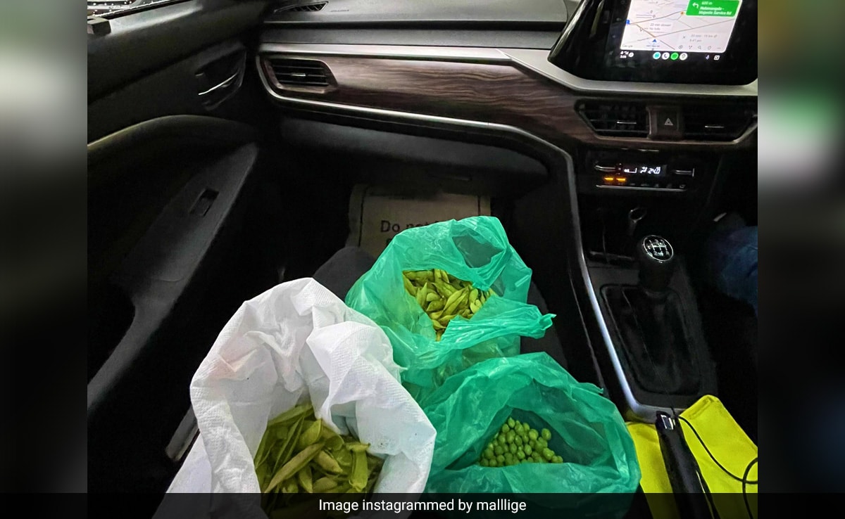"New Benchmark In Productivity": Bengaluru Woman Peels Veggies While Stuck In Traffic