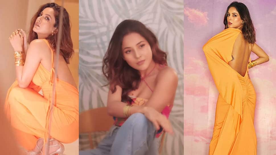 Shehnaaz Gills Sensational Sultry Videos In Plunging Neckline And Backless Top Prove Shes Transformed Into A Glam Doll - Watch