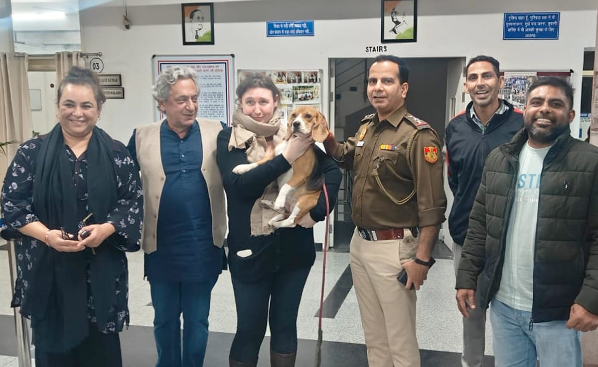 How Dog Stolen From Upscale Delhi Locality Was Reunited With Owners